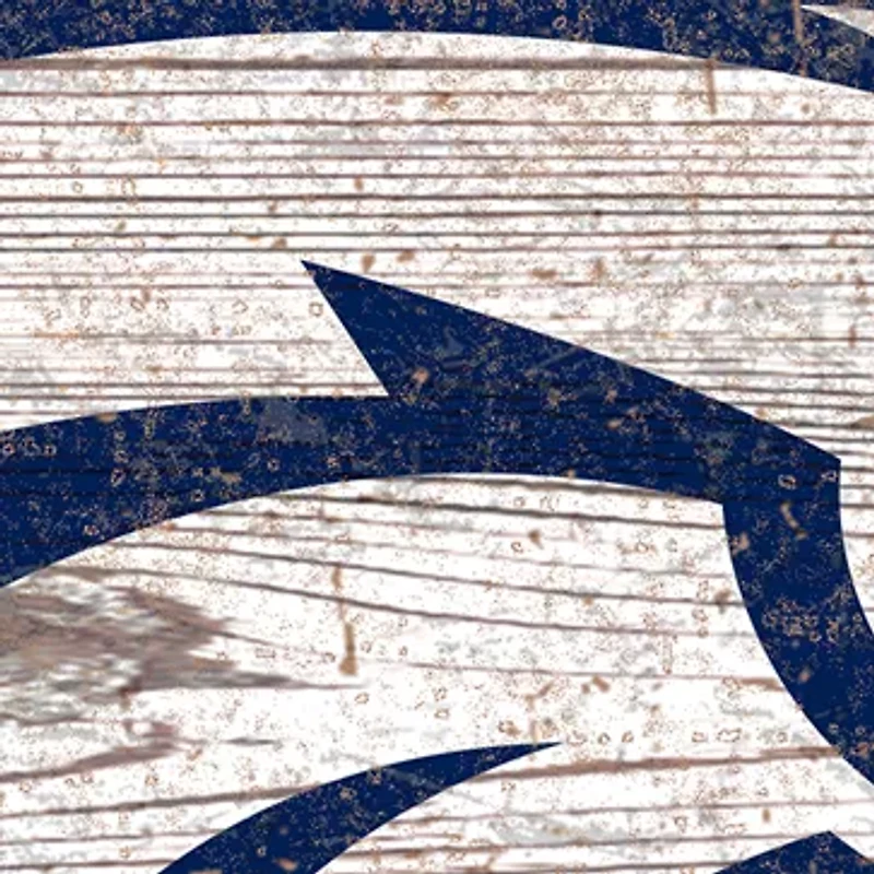 NFL Denver Broncos Distressed Logo Cutout Sign