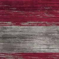 NFL Arizona Cardinals 11 in x 19 in Distressed Flag