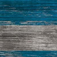 NFL Detroit Lions 11 in x 19 in Distressed Flag
