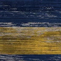 NFL Los Angeles Chargers 11 in x 19 in Distressed Flag