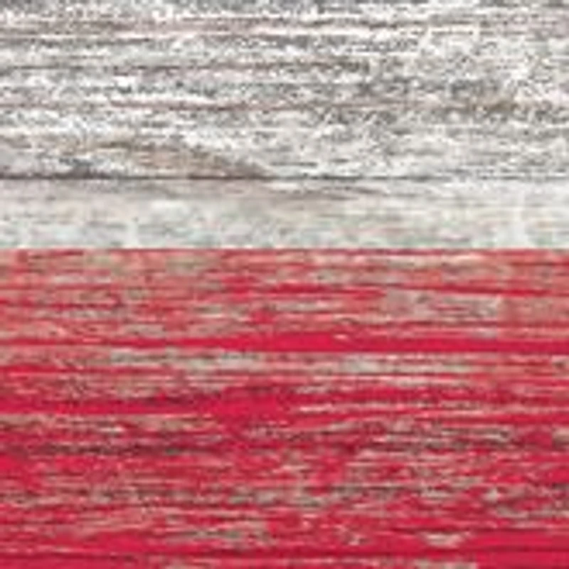 NFL New York Giants 11 in x 19 in Distressed Flag