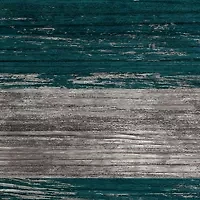 NFL Philadelphia Eagles 11 in x 19 in Distressed Flag 