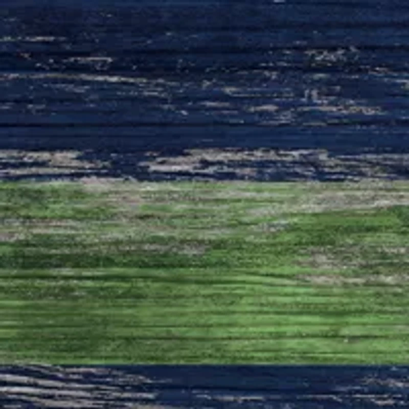 NFL Seattle Seahawks 11 in x 19 in Distressed Flag 