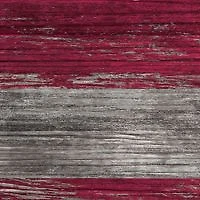 NFL San Francisco 49ers 11 in x 19 in Distressed Flag 