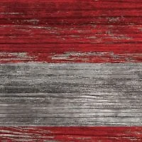 NFL Tennessee Titans 11 in x 19 in Distressed Flag