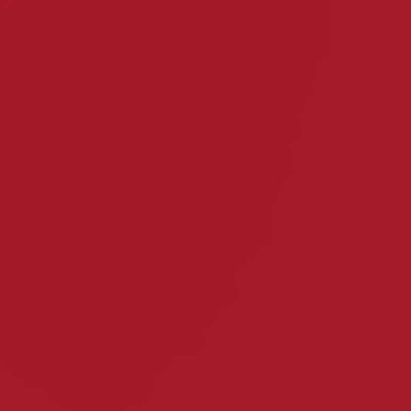 NCAA Arkansas Razorbacks Silicone Apple Watch Band