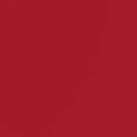 NCAA Arkansas Razorbacks Silicone Apple Watch Band