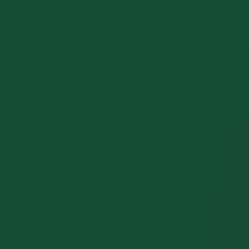 NCAA Michigan State Spartans 42 Millimeter Silicone Apple Watch Band