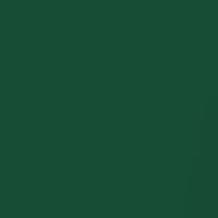 NCAA Michigan State Spartans 42 Millimeter Silicone Apple Watch Band