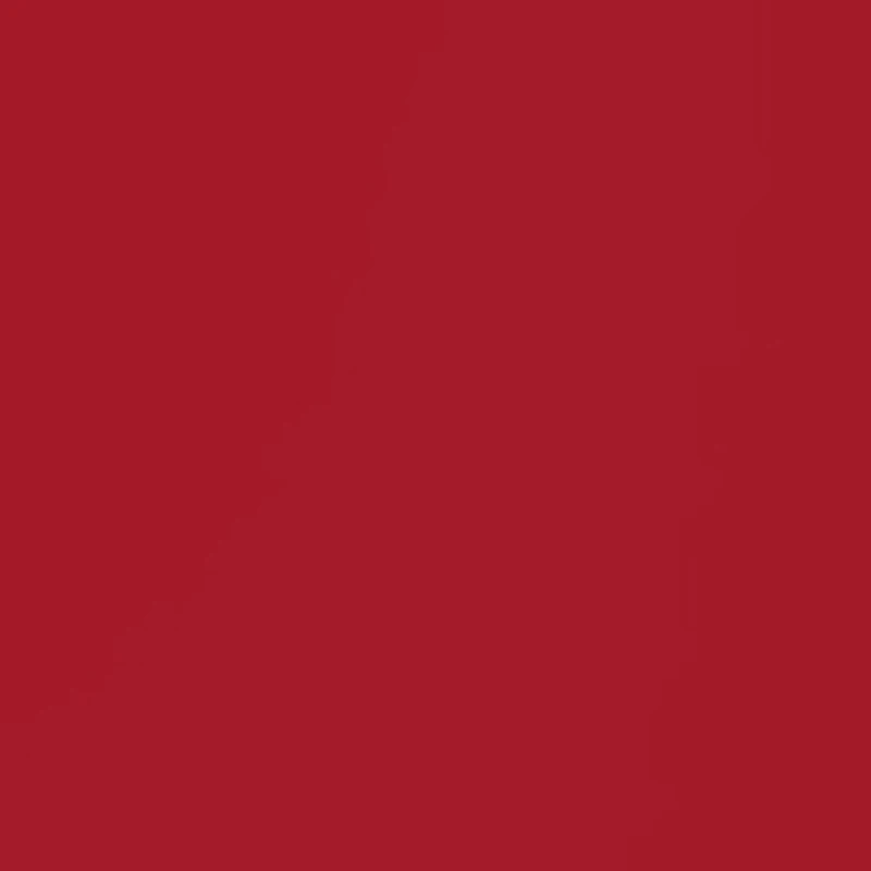 NCAA Arkansas Razorbacks 42 Millimeter Silicone Apple Watch Band