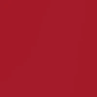 NCAA Arkansas Razorbacks 42 Millimeter Silicone Apple Watch Band