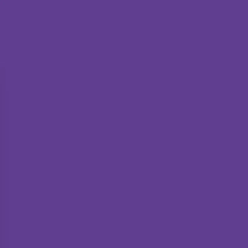 NFL Minnesota Vikings AirPods Pro Case