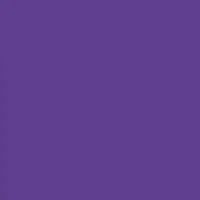 NFL Minnesota Vikings AirPods Pro Case