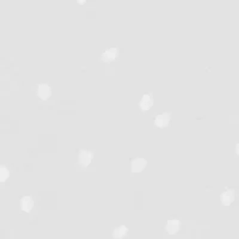 12 Days of Christmas Bingo Game