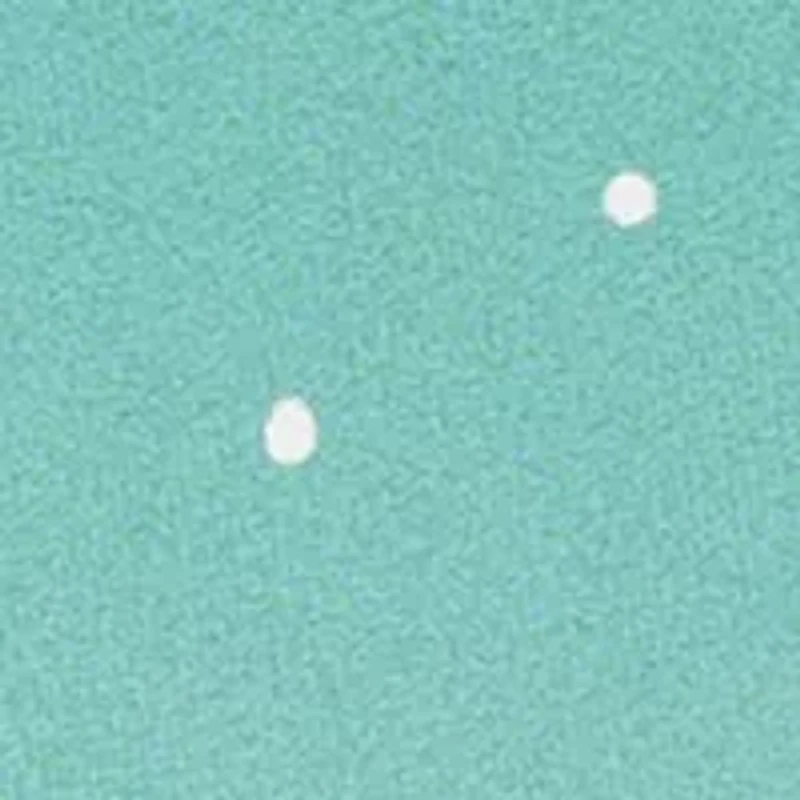 Fun Santa True or False Game