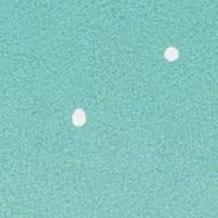 Fun Santa True or False Game