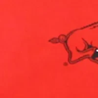 NCAA Arkansas Razorbacks Sheet Set