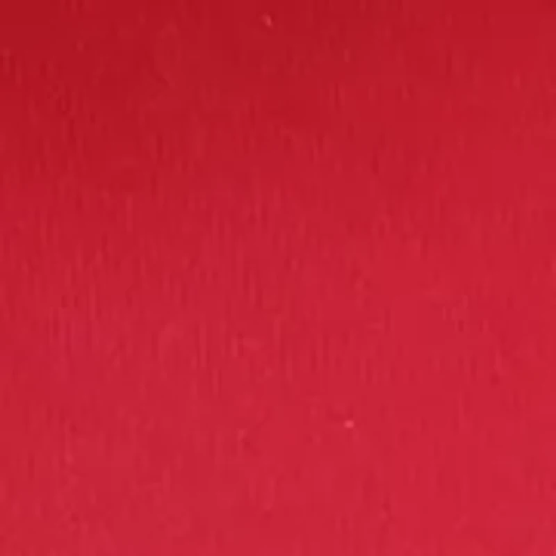 NCAA Arkansas Razorbacks Decorative Pillow