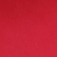 NCAA Arkansas Razorbacks Decorative Pillow