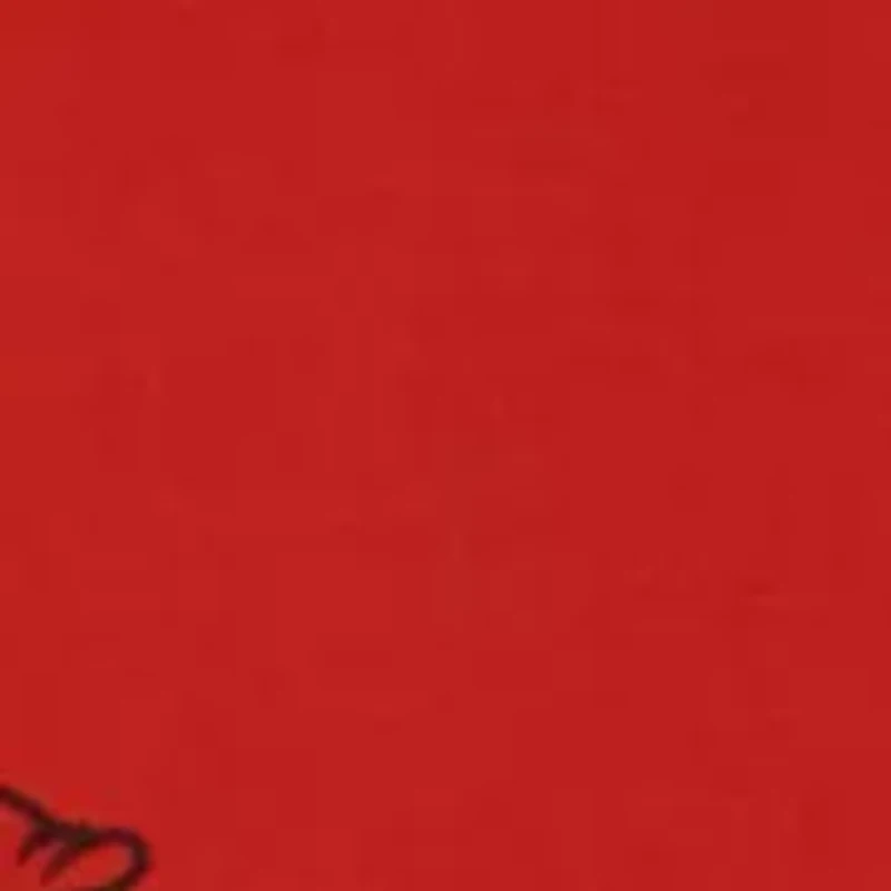 NCAA Arkansas Razorbacks Decorative Pillow