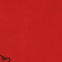 NCAA Arkansas Razorbacks Decorative Pillow