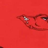 NCAA Arkansas Razorbacks Body Pillowcase