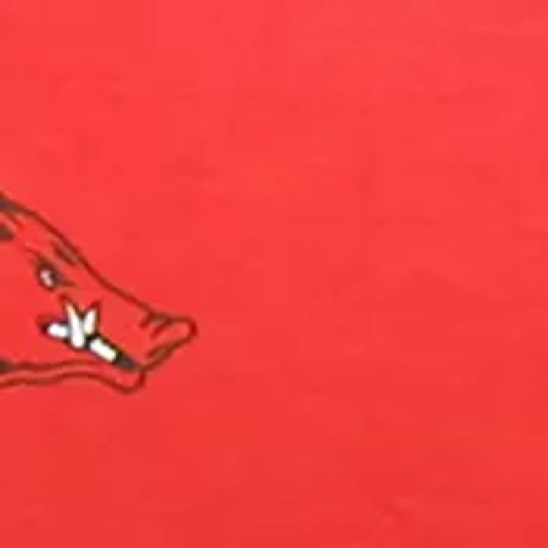 NCAA Arkansas Razorbacks King Pillowcase