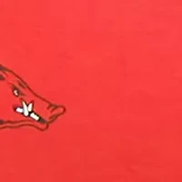 NCAA Arkansas Razorbacks King Pillowcase