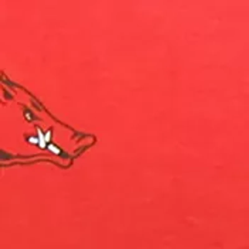NCAA Arkansas Razorbacks Standard Pillowcase