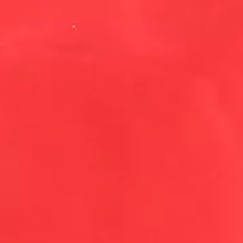 NCAA Arkansas Razorbacks Printed Pillow Sham