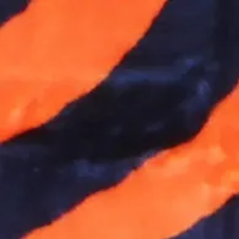 NCAA Auburn Tigers Soft Raschel Throw Blanket