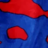 NFL New York Giants Raschel Knit Throw Blanket