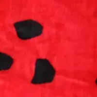 NFL Tampa Bay Buccaneers Raschel Knit Throw Blanket