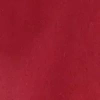 NCAA Florida State Seminoles 28 in x 28 in Silky and Super Soft Plush Baby Blanket