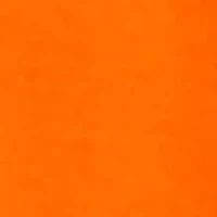 NCAA Clemson Tigers Printed Shower Curtain Cover