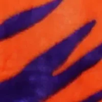 NCAA Clemson Tigers Soft Raschel Throw Blanket