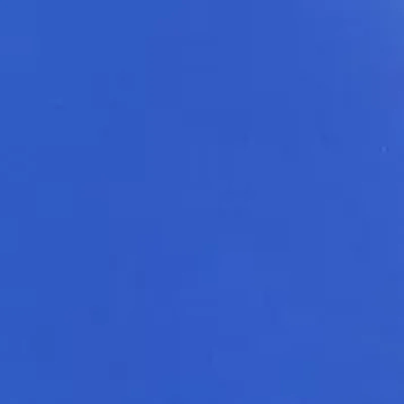 NCAA Duke Blue Devils Fully Stuffed Big Logo Pillow