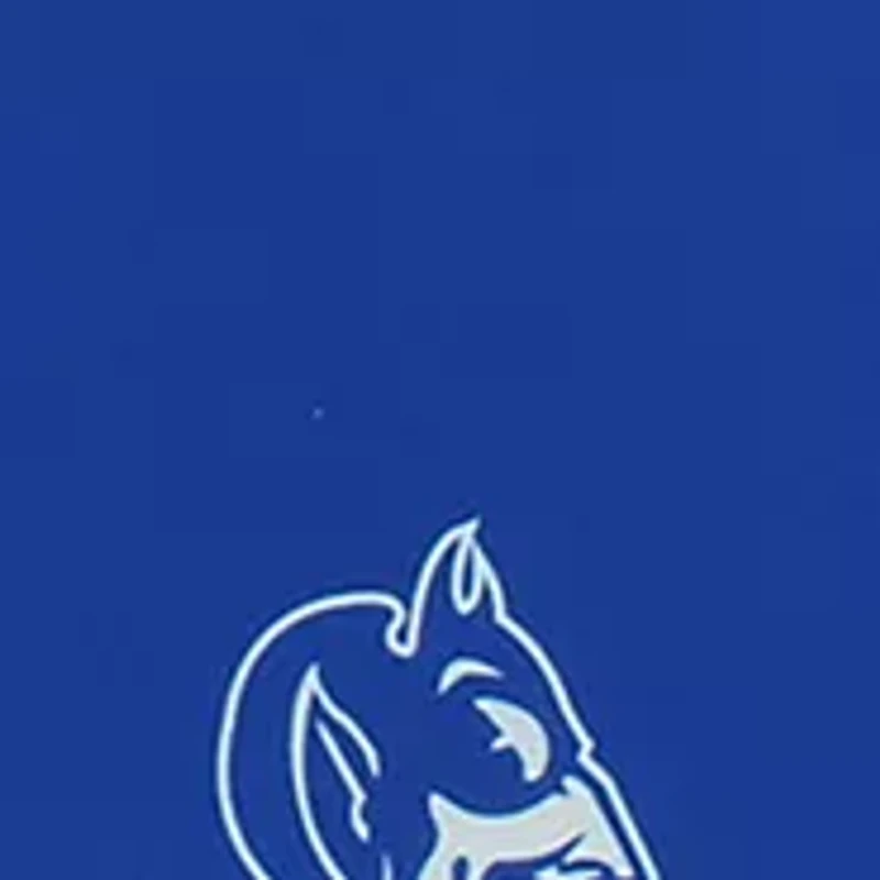 NCAA Duke Blue Devils King Pillowcase