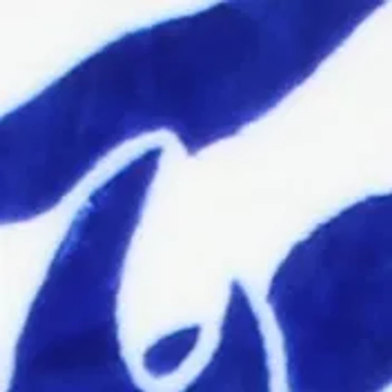 NCAA Duke Blue Devils Soft Raschel Throw Blanket