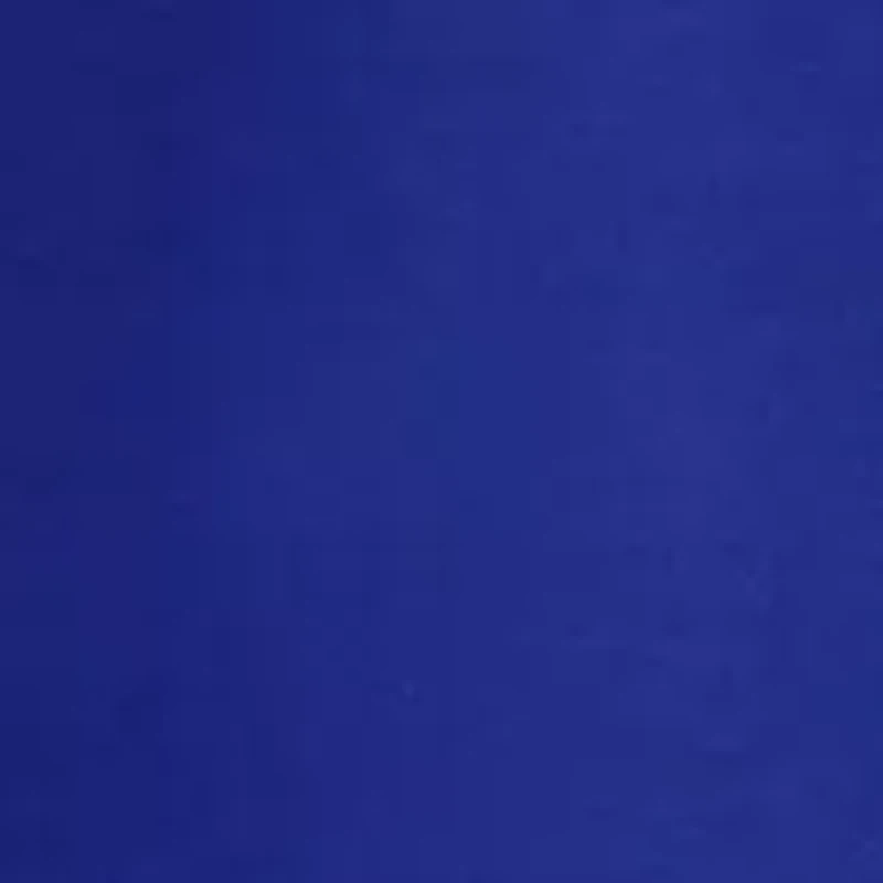 NCAA Florida Gators Printed Body Pillow