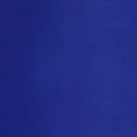 NCAA Florida Gators Printed Body Pillow