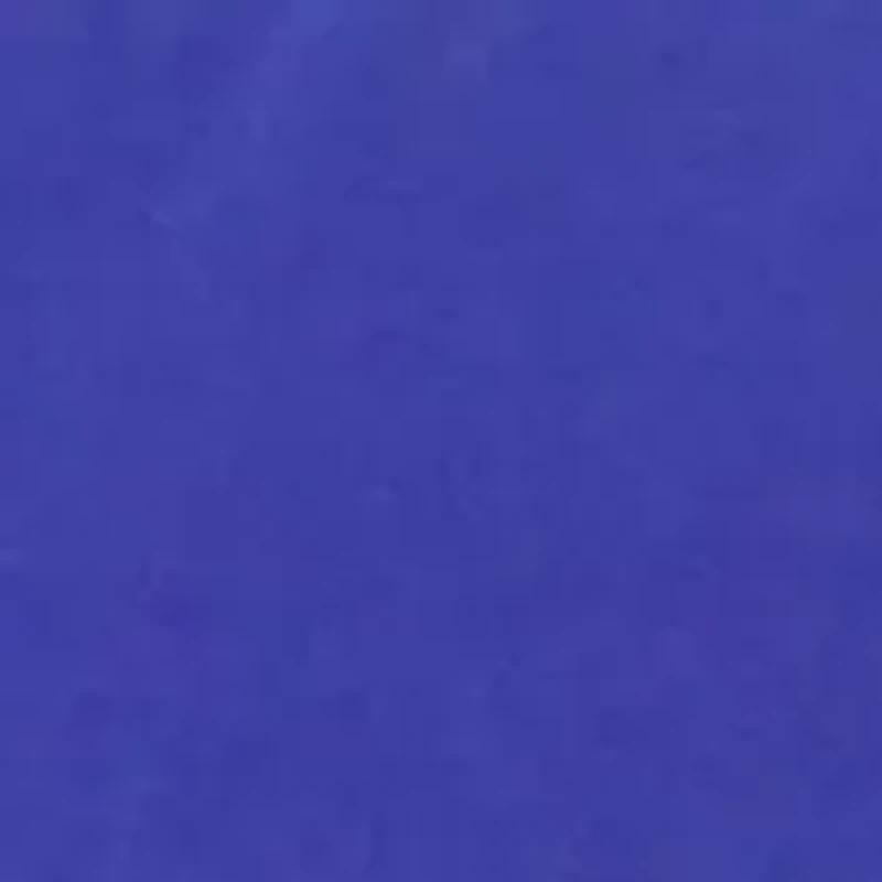 NCAA Florida Gators Decorative Pillow