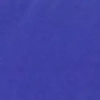 NCAA Florida Gators Decorative Pillow