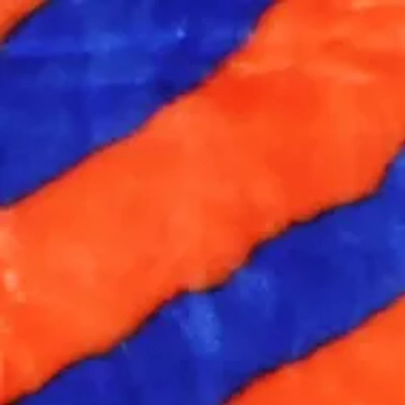 NCAA Florida Gators Soft Raschel Throw Blanket