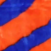 NCAA Florida Gators Soft Raschel Throw Blanket