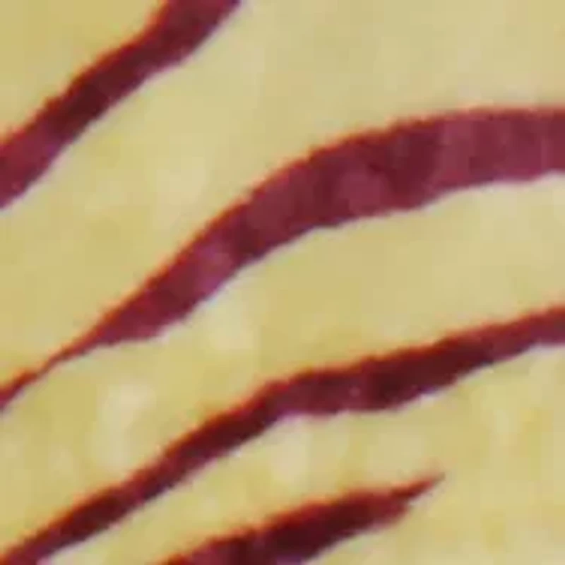 NCAA Florida State Seminoles Soft Raschel Throw Blanket