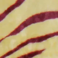 NCAA Florida State Seminoles Soft Raschel Throw Blanket
