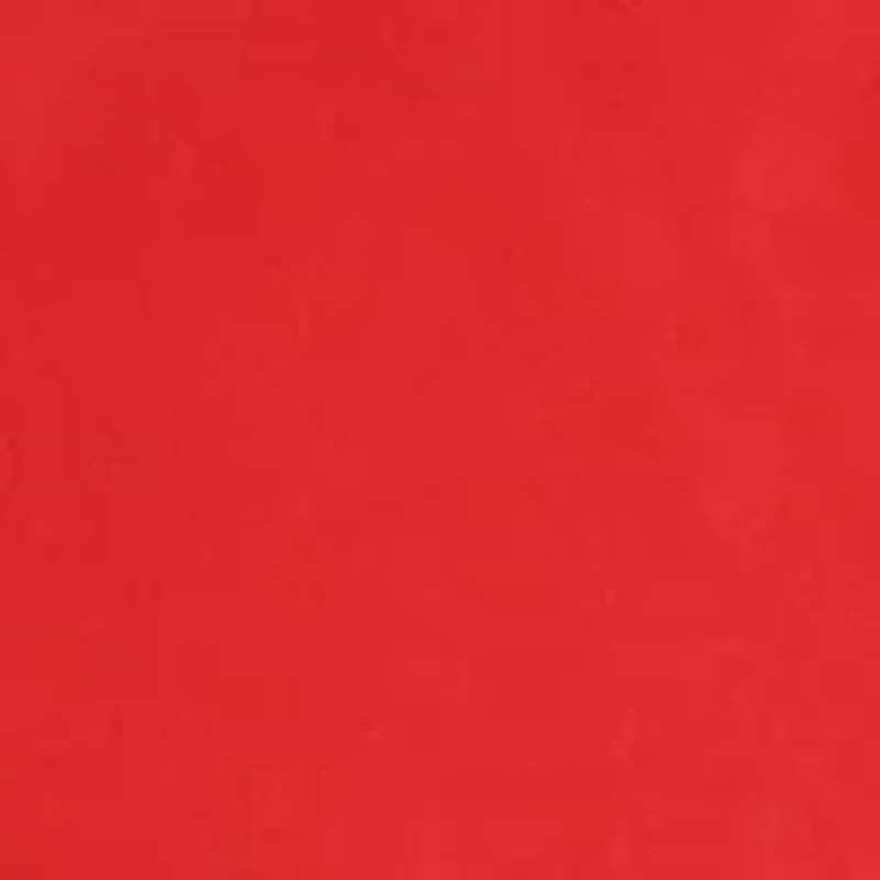 NCAA Georgia Bulldogs Tailgating Grilling Apron