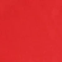 NCAA Georgia Bulldogs Tailgating Grilling Apron