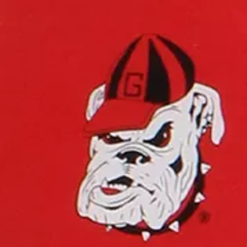 NCAA Georgia Bulldogs Printed Body Pillow